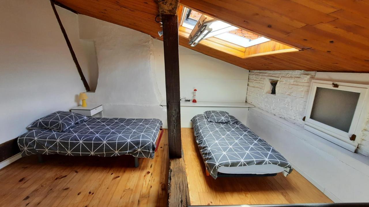 Promo24-31Mai 4Personnes Toulouse 15Mn 4 Lits Cuisine Sde Wc Apartment Montastruc-la-Conseillere Exterior photo